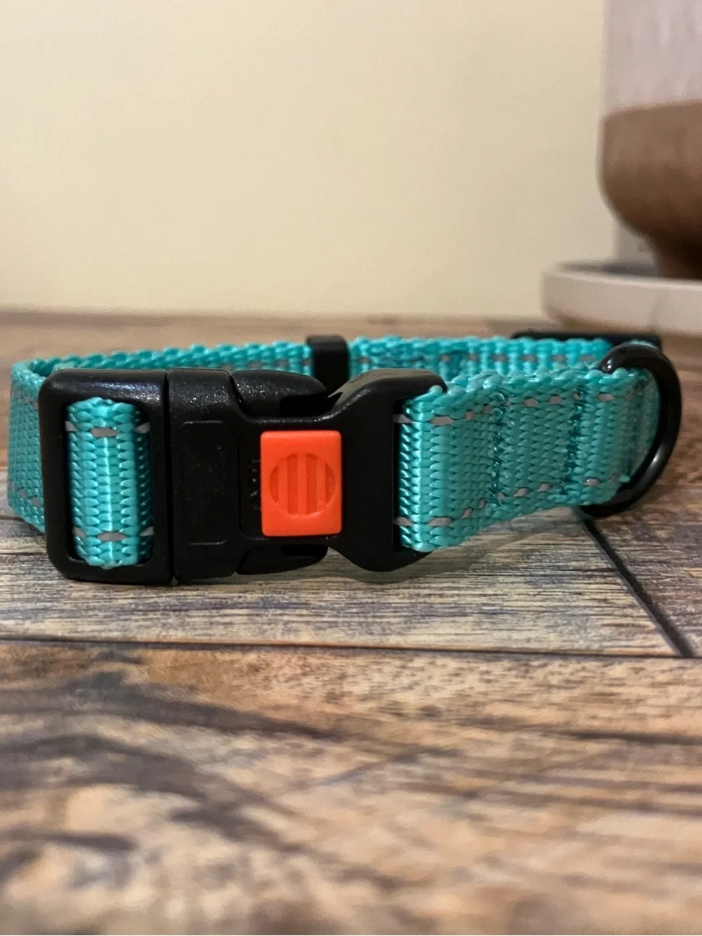 CollarDirect Adjustable Reflective Nylon Dog Collar, Mint Green, X-Small